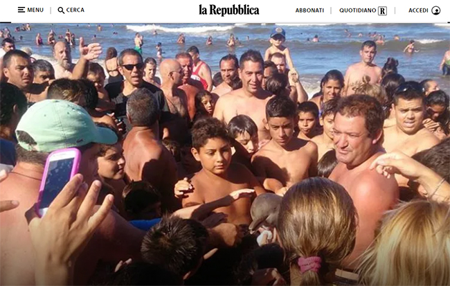 Fake news del delfino spiaggiato a Buenos Aires